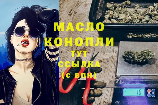 сатива Армянск