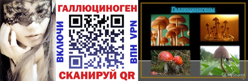 Галлюциногенные грибы GOLDEN TEACHER  сколько стоит  Советский 